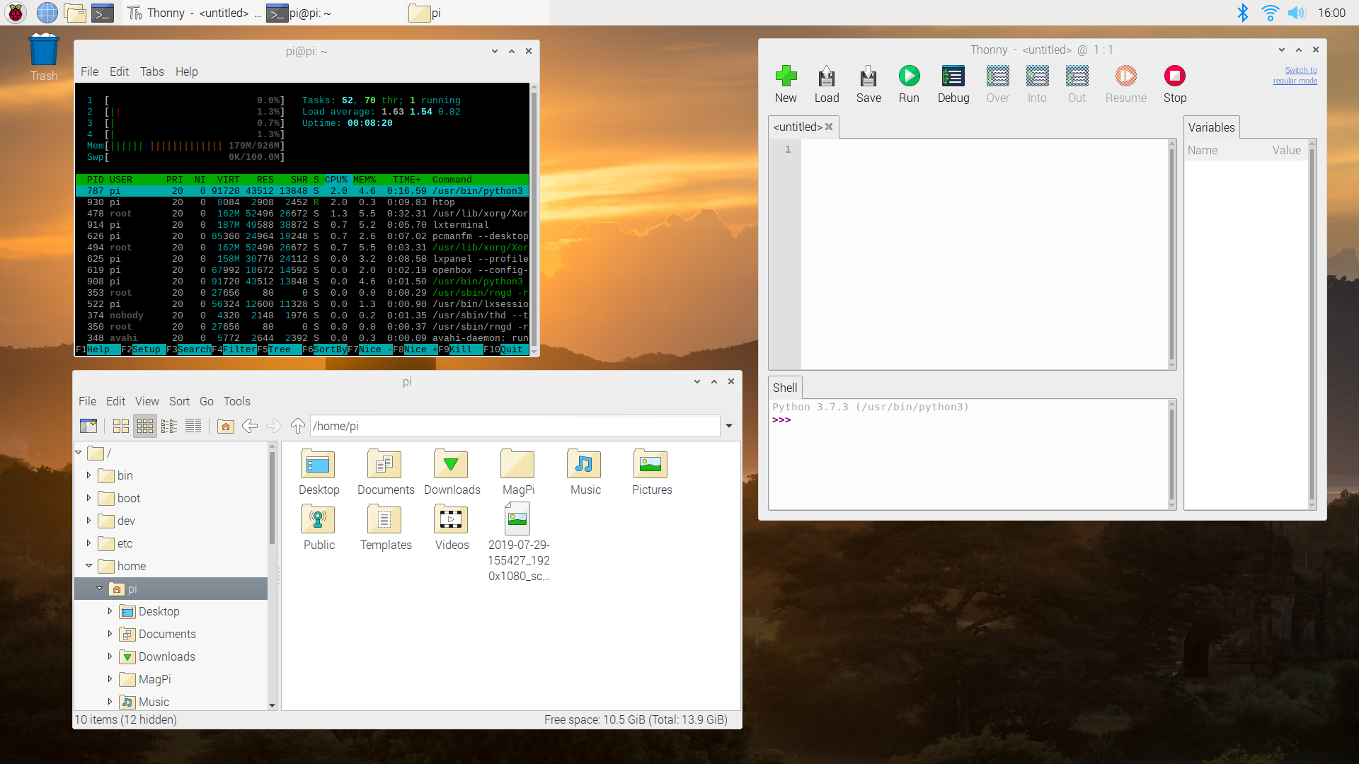 Screenshot of Raspbian OS